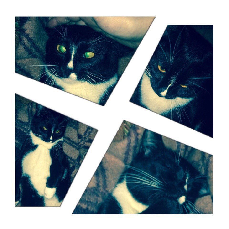 �� ����� �������� ��������))) ������� � ����� ���������� �������. �� ������ ����� ������ �������. ... - 3