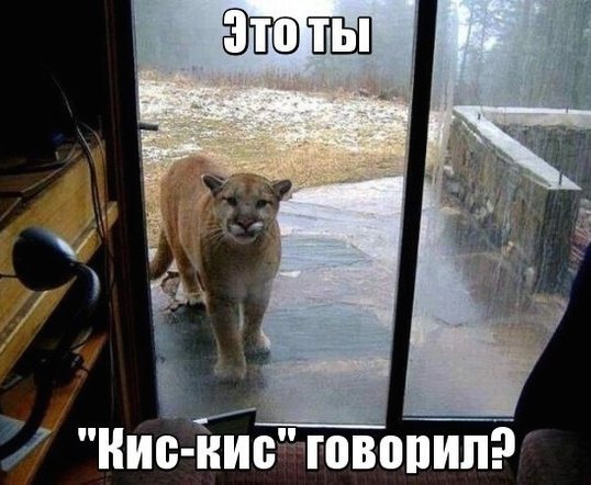   - 19  2015  18:32