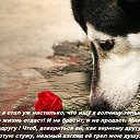 ���� Rok76i, �����-���������, 49 ��� - ��������� 24 ������� 2014 � ������ �������