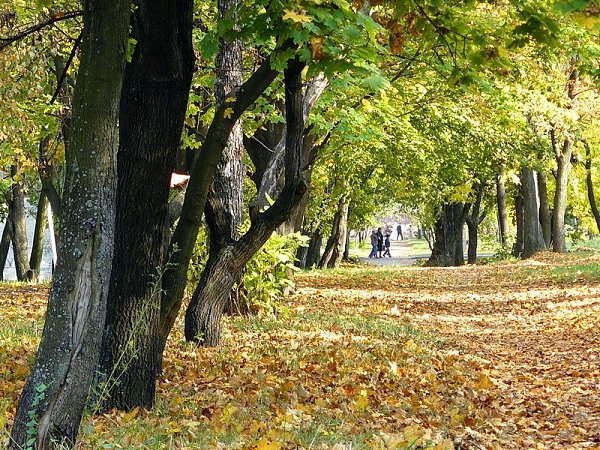 Город Шахты. Городской парк Культуры и Отдыха, ныне Александровский Парк. - 7