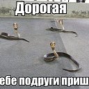 ���� �����., ������ - ��������� 18 ������� 2015 � ������ ������ ��������