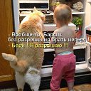 ���� ��������., ����������� - ��������� 15 ������ 2015 � ������ ���� ������