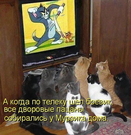       - 4  2015  08:04