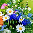 ���� ������, ������ - ��������� 25 ������� 2015 � ������ ������ ��������