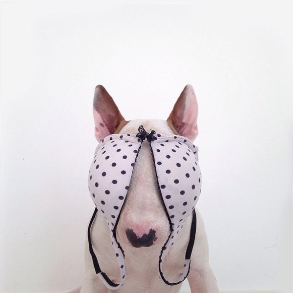      ( http://vk.com/sasha.utkina. ) : 