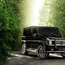 ���� �������, ���������, 50 ��� - ��������� 15 ������� 2015 � ������ ������ ��������