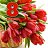 ���� Pavel, ���������, 47 ��� - ��������� 8 ����� 2015