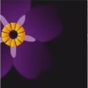 ���� &spades;D&spades;, �������� - ��������� 19 ������ 2015 � ������ ������ ��������