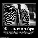 ���� Svetlana, �����, 71 ��� - ��������� 4 ����� 2015 � ������ ���� ����������