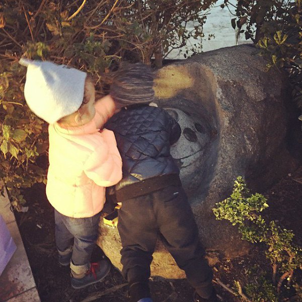 ����� �� ��������� �� �����