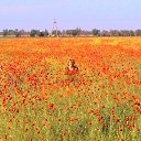 ���� ���������, ���������, 60 ��� - ��������� 12 ������� 2015 � ������ ���� ����������