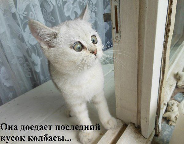 K���� K����� - 17 ������� 2015 � 13:31
