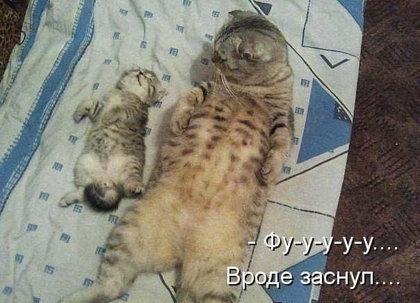 А Вам это знакомо???!!!)))