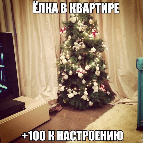   .. - 17  2014  18:13