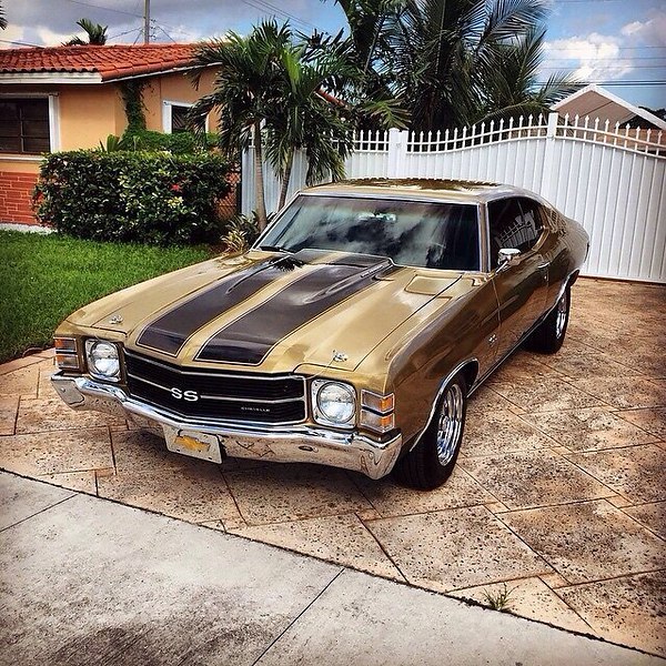 Chevelle SS - 5