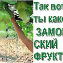 ���� ������, ������� - ��������� 30 ������ 2015 � ������ ������ ��������