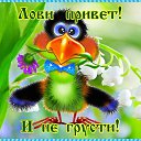 ���� �����, ������ - ��������� 27 ����� 2015 � ������ ���� ����������