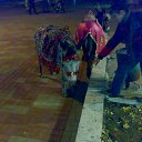 ���� �����, ������, 52 ���� - ��������� 7 ������� 2015 � ������ �����������