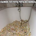 ���� ������, ������ - ��������� 12 ������ 2015 � ������ ���� ����������