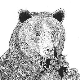 ���� Grigory, ������, 52 ���� - ��������� 14 ����� 2015