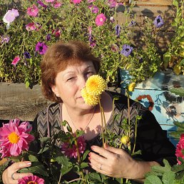 ����, �������, 70 ���