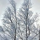 ���� Svann, ���������, 71 ��� - ��������� 19 ������ 2015 � ������ ������ �������!�