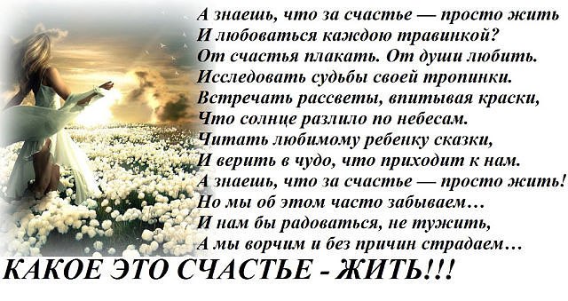 - 7  2015  08:26