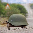 ���� ����, ������, 34 ���� - ��������� 3 ������ 2015 � ������ ������ ��������