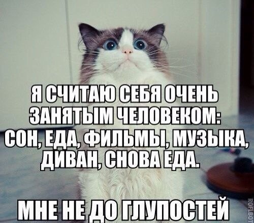   .. - 29  2015  17:07
