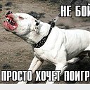 ���� ������, ��������� - ��������� 19 ������ 2015 � ������ ������ ��������