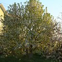 ������� �� ������� ���� ����������