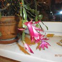 ���� ������, ������, 60 ��� - ��������� 30 ������� 2014 � ������ ������ ��������