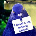 ���� �, ��������� - ��������� 19 ������ 2015 � ������ ���� ����������