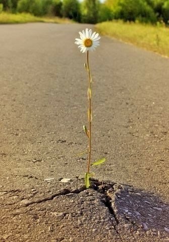 Сильный человек — это не тот у которого все хорошо. Это тот, у которого все хорошо несмотря ни на ...