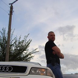 �����, ��������, 44 ����