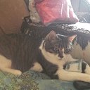 ���� �����, ������ - ��������� 4 ����� 2015 � ������ ������ ��������