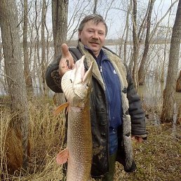 ���������, ����, 60 ���