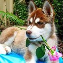 ���� Keti, �������, 54 ���� - ��������� 18 ������� 2015 � ������ ������ ��������