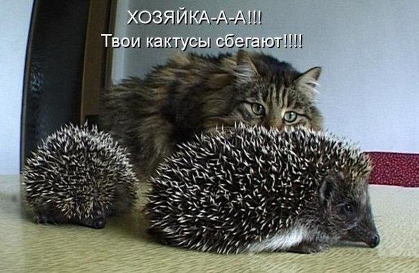 ��������� � ������,��� ���� ��������: <a href=