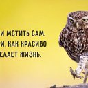 ���� ����, �����, 49 ��� - ��������� 6 ����� 2015 � ������ ������ ��������