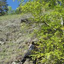 ���� ����� ������, ���������������, 43 ���� - ��������� 16 ������� 2014