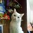 ���� ���������, �����������, 57 ��� - ��������� 3 ����� 2015