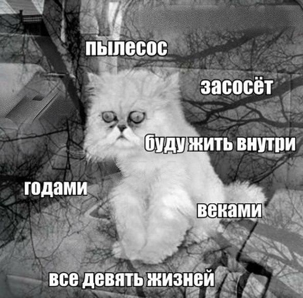  - 17  2015  04:23