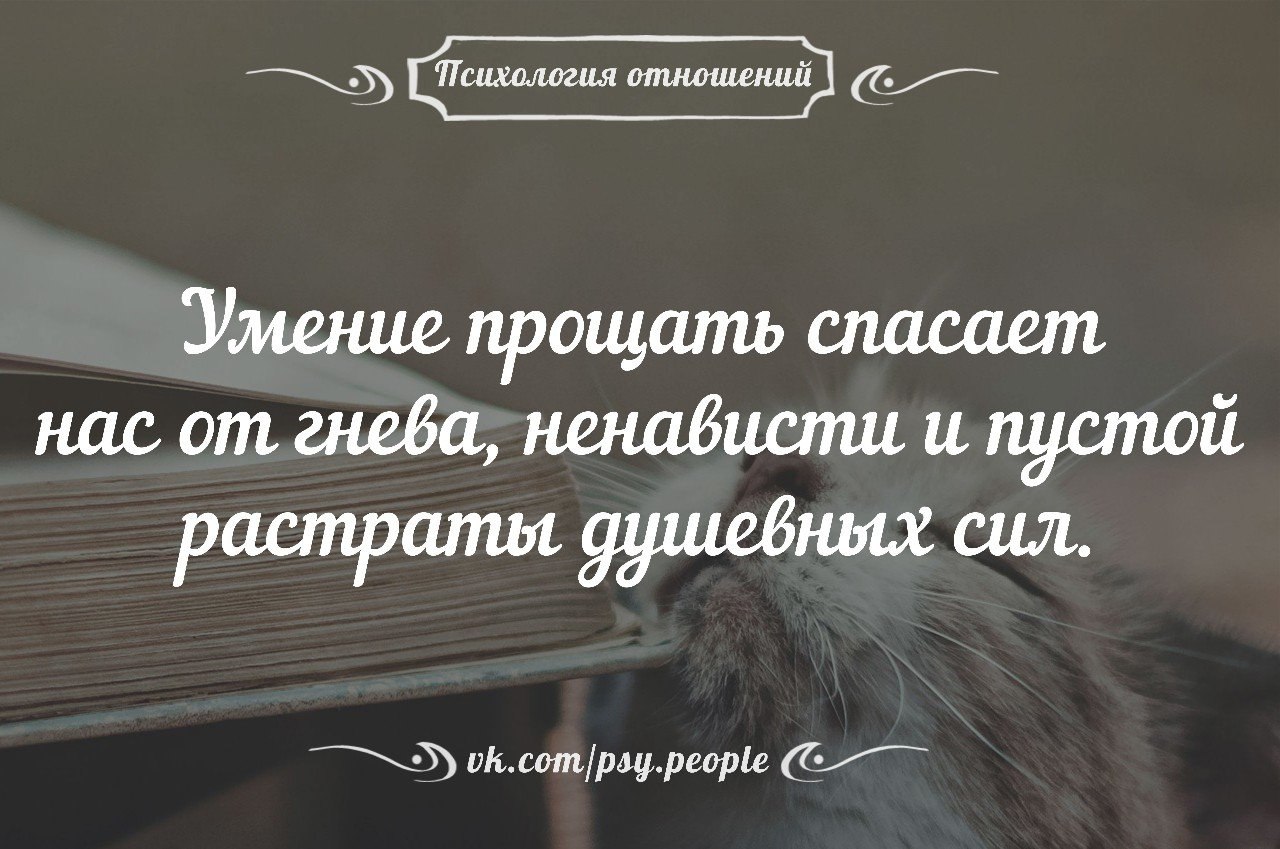 Умение прощать. Умение прощать цитаты. Умение прощать картинки. Умение прощать спасает нас.