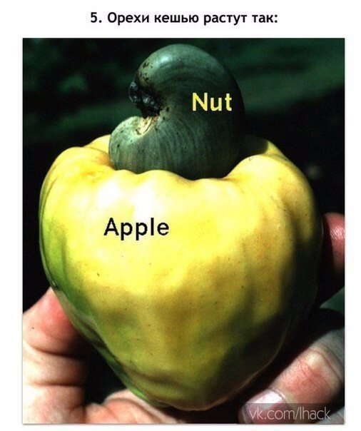 10 ������, ������� ������ ��� ����, �� �������� �������: - 5