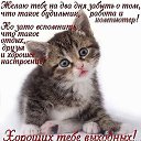 ���� �������, �������� - ��������� 28 ������� 2015 � ������ ������ ��������