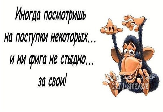 ������ - 5 ������ 2015 � 12:38