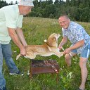 ������� ���-�� �������� ���������� �� ������� ���� ����������