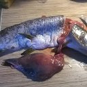 ���� ������, ��������� - ��������� 21 ������� 2015 � ������ ������ ��������