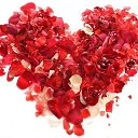 ���� ������, ������ - ��������� 6 ������ 2015 � ������ ������ ��������